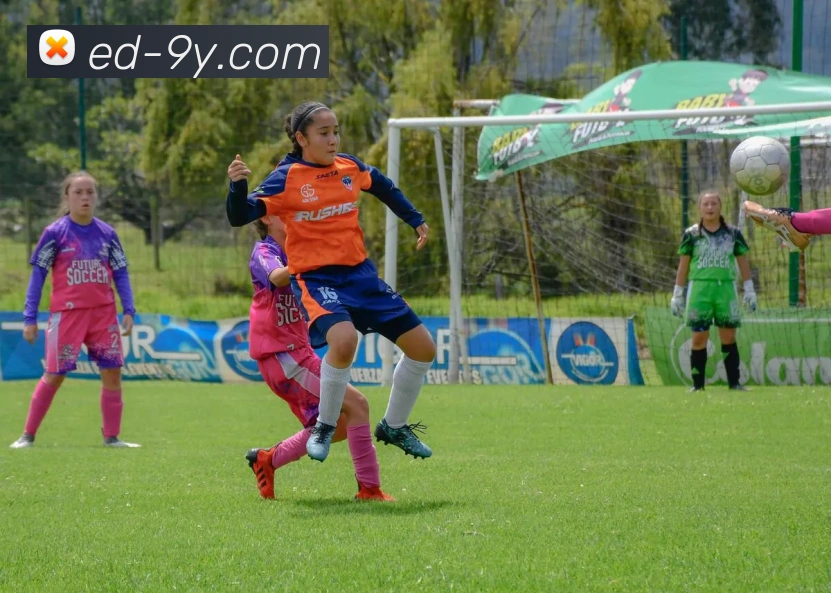 九游官网APP 高清赛事图