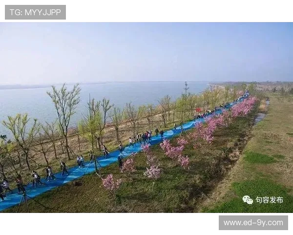 以厚禄稻香足球场为中心打造社区体育文化活力圈规划蓝图发展新愿景